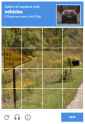 captcha no passing zone 2.png