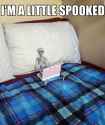 spooked.jpg