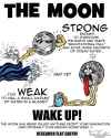 7c53a729e1aa15aac353fb290c1fe47d--flat-earth-proof-globe-earth.jpg