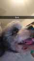 Snapchat-1296778969.jpg