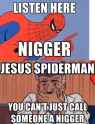 spidery in chcek.jpg