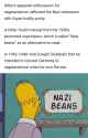 pol soyboys.png