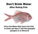 fish.jpg