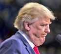 TrumpFat.jpg