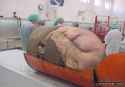 00 (8).jpg