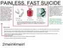 painless-fast-suicide-fun-fact-helium-is-not-poisonous-helium-24774924.png