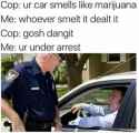 1515250091752.png