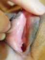 cy_0016.jpg