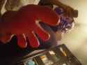 SAM_0558.jpg