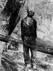 niggerhangingfromtree.jpg