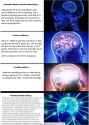 Monkeykinds Evolution.jpg