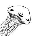 jelly brain.jpg