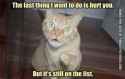 funny-cat-picture-the-last-thing-i-want-to-do-is-to-hurt-you.jpg