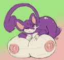 Rattata21.jpg