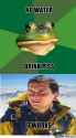 foul-bachelor-frog_o_171929.jpg