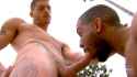 porn_addicted_bear_Powerstroke_Jecht_Parker_Ty_Roderick_04.jpg