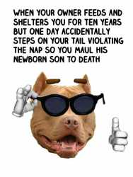 32191970_1669670743128738_4541806398010294272_n.jpg
