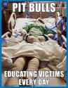 educating-victims-everyday.jpg