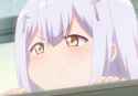 smugbulli.jpg