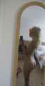DSC07581.jpg