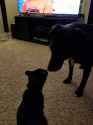 Resized_20180306_220255_5404.jpg