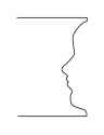 Face-vases+RIGHTHANDED.jpg