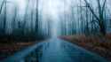 foggy_rainy_road_through_bare_forest_winter_hd-wallpaper-1576804.jpg