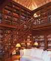 library (111).jpg