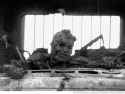 highway-of-death-iraq-95.jpg