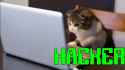 I'M a hacker.jpg