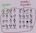 genders.jpg