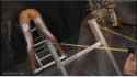 QueensnakeCatapult.png