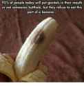 95-of-people-today-will-put-genitals-in-their-mouth-19217475.png