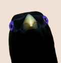58a86ea4d03753509afe13a6.png