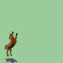 gif1084_by_windixie.gif