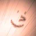 1514270465732.gif