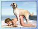 lolibooru 172842 1girl 3dcg beach bestiality dog doggystyle outdoors sex twitchster vaginal.jpg