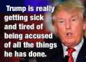 trump_did_it.jpg