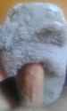 20170528_152928.jpg