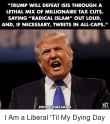 trump-will-defeat-isis-through-a-lethal-mix-of-millionaire-11362330.png