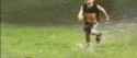 1504761605047.gif