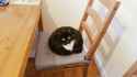 DZPLlkNWAAU9p3h.jpg