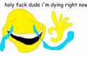 download (19).jpg