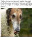 FB_IMG_1525809868955.jpg