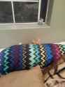 20131105_171704.jpg