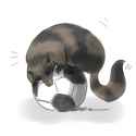 roundboi.png