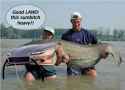 LScatfish.jpg