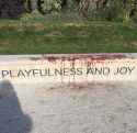playfulness and joy.jpg
