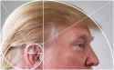 trump_golden_ratio.jpg