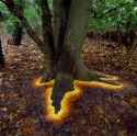 101 andy-goldsworthy-110.jpg